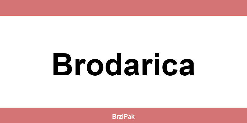 DPD depot Brodarica kontakt