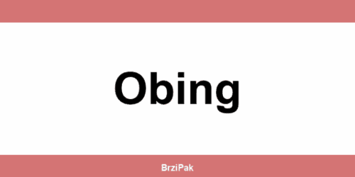 DPD depot Obing kontakt