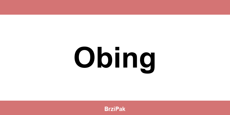 DPD depot Obing kontakt